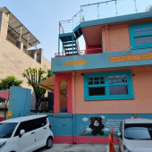 🐻 홍대 해피베어데이 합정 본점